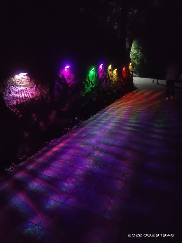 OEM IP65装飾的な屋外の太陽ライトABS太陽動力を与えられた庭ライト