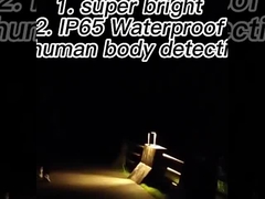 太陽動力を与えられたLEDのモーションセンサー ライト