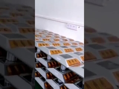 細道の安全のための防水耐久の太陽柱の道のスタッド